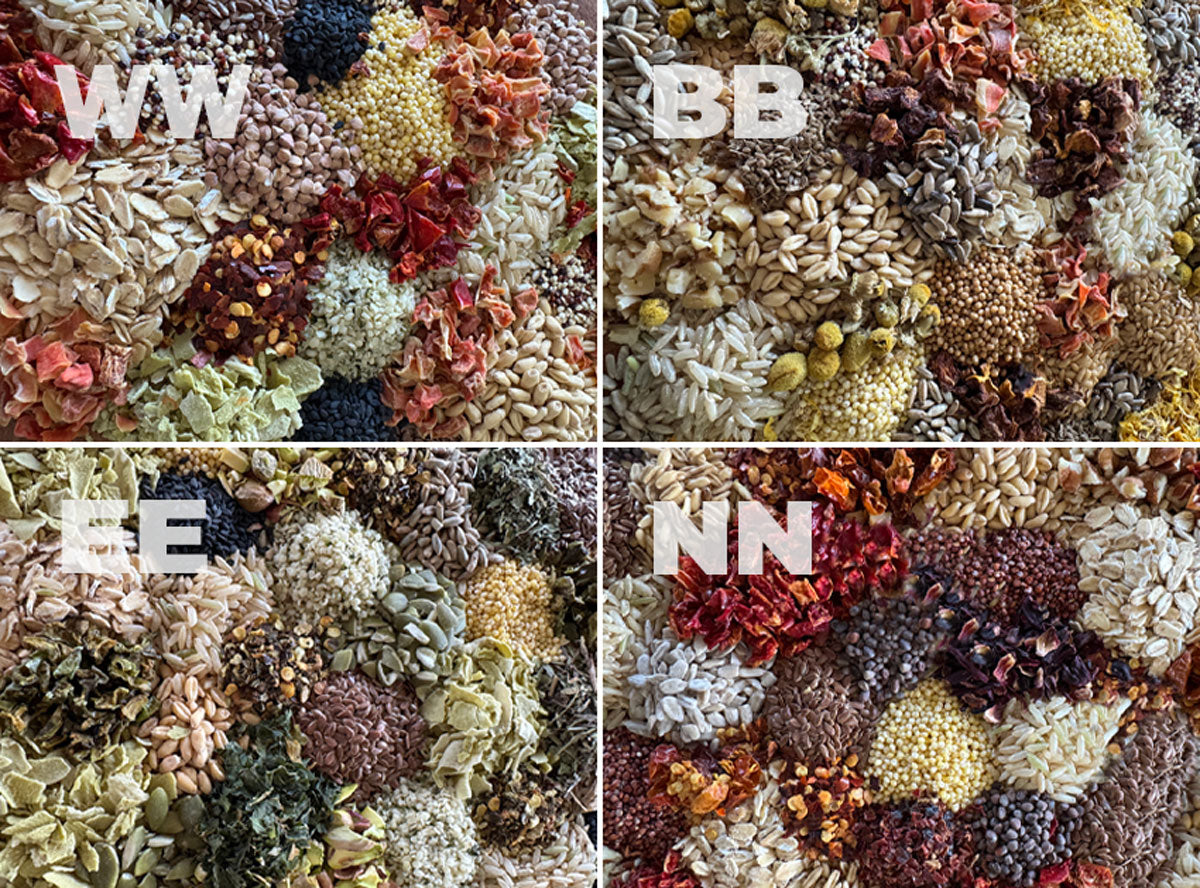 All four of Beakology's blends next to each other showing the difference in variety and ingredients.