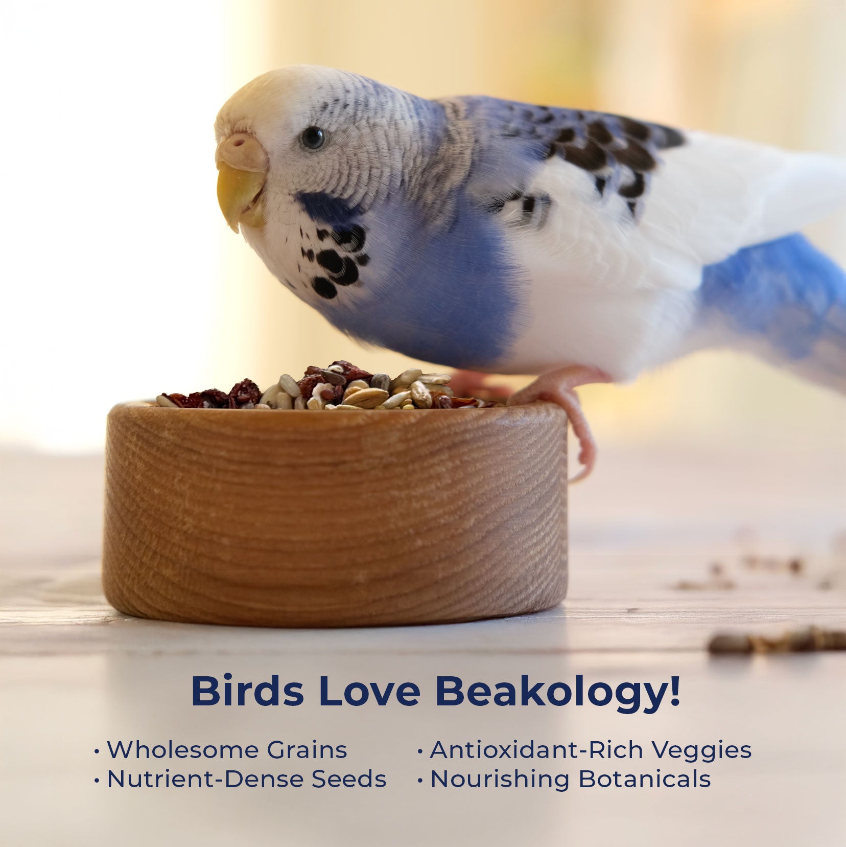 Wild Wellness Organic Parakeet Food