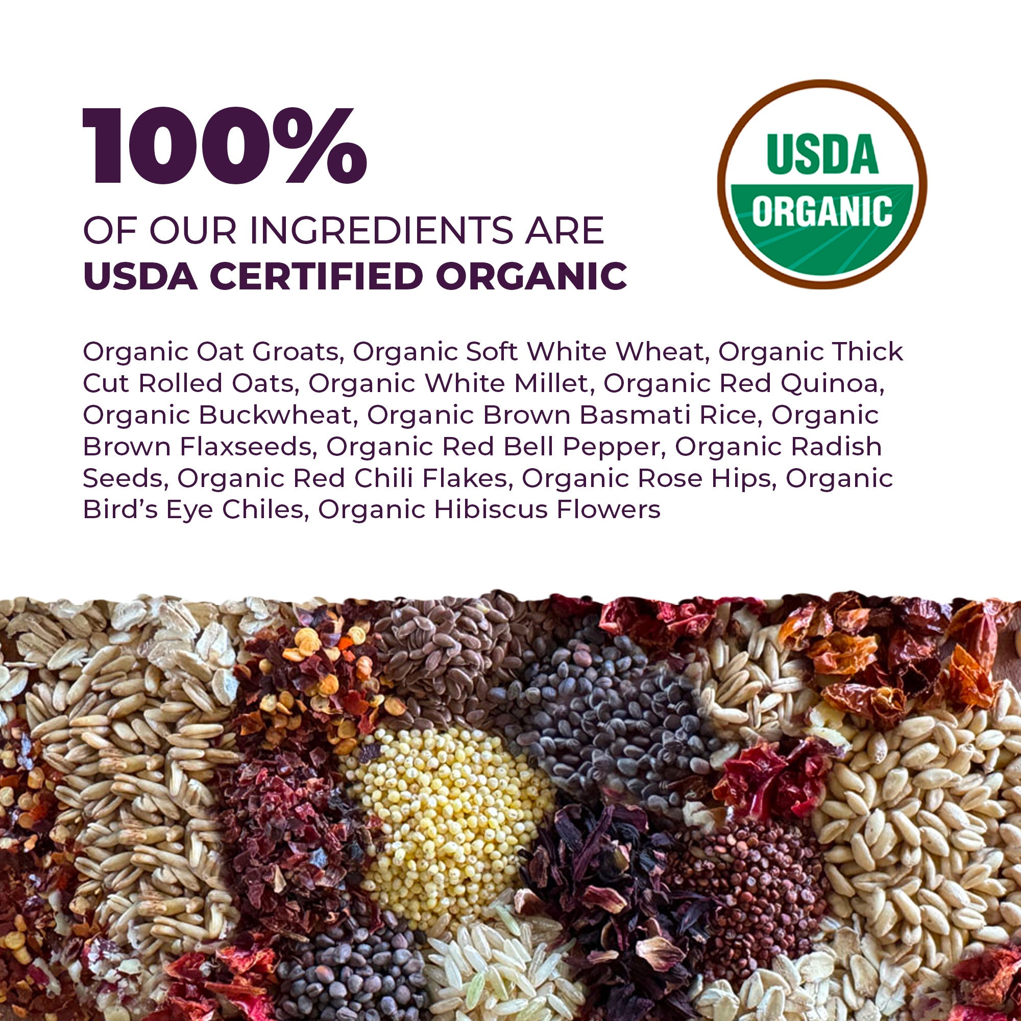 Native Nutrition Organic Parrot Food