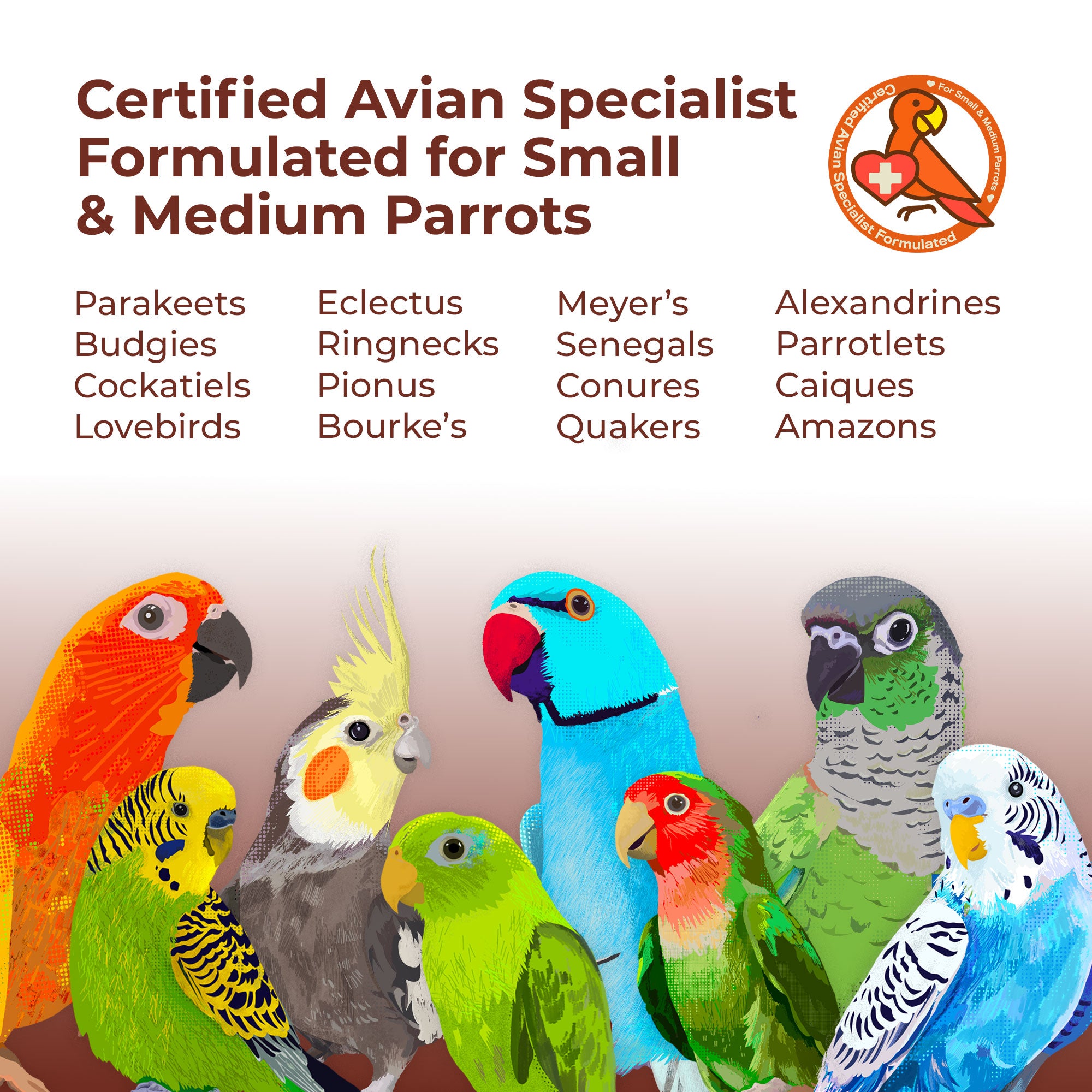 Blissful Balance Organic Parakeet Food