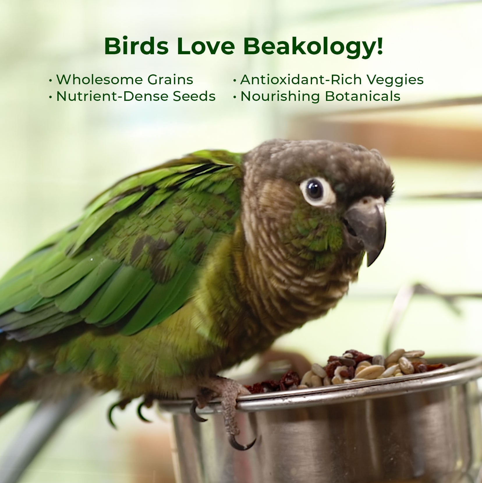 Essential Energy Organic Parrot Food