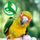 Colorful parrot on a blurred green background with a pet care brand logo.