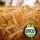 Wheat field with OTCO logo overlay