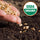 Hand planting organic seeds in soil with USDA Organic logo overlay