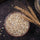 barley kernals in a bowl