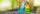 Two colorful lovebirds perched on a branch with a blurred background