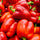fresh red bell peppers