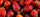 whole dried rose hips